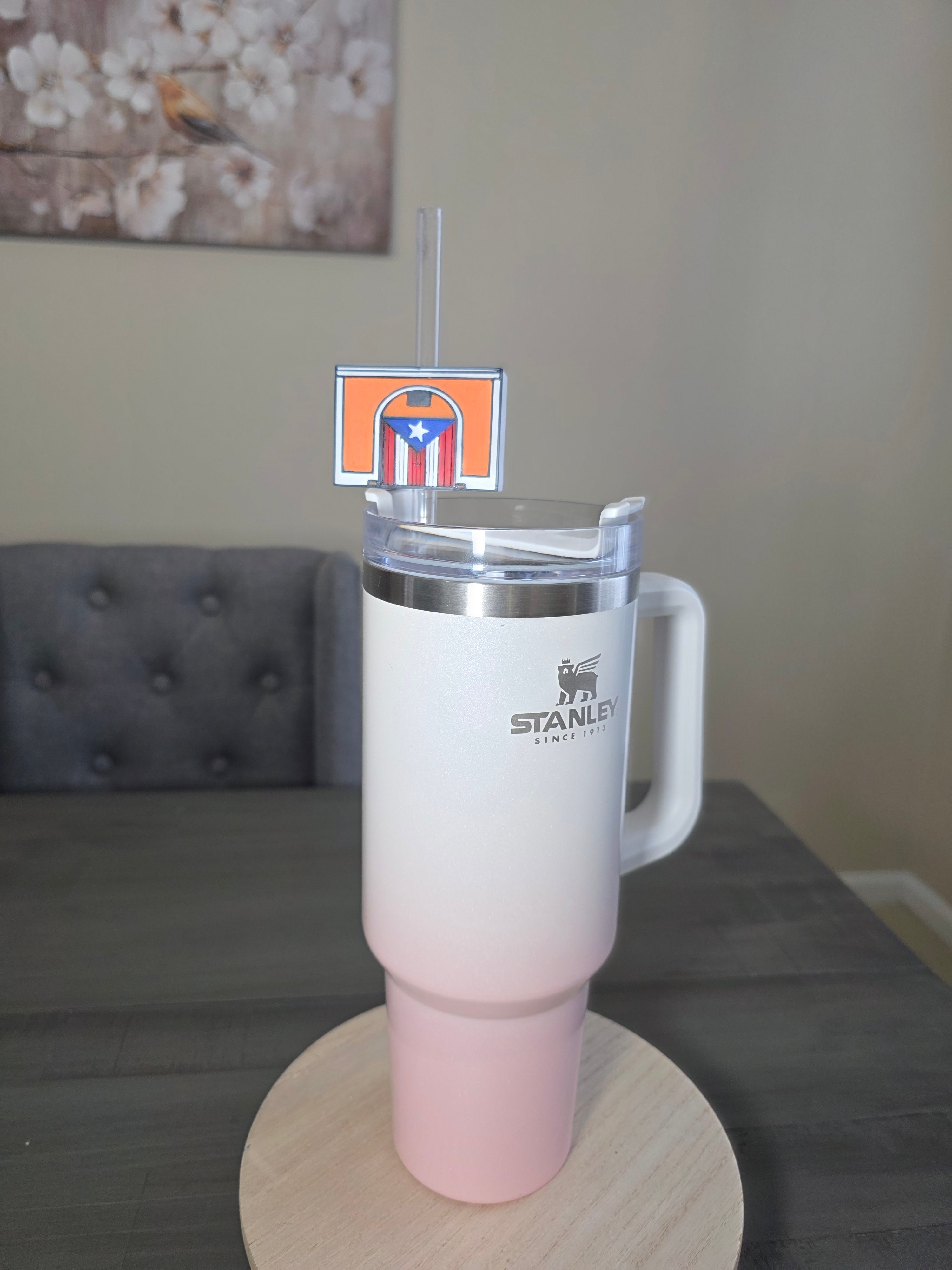 Bandera Callejón House Straw Charm | 3D Printed PLA 10mm Straw Topper | Puerto Rico Flag Cup Accessory