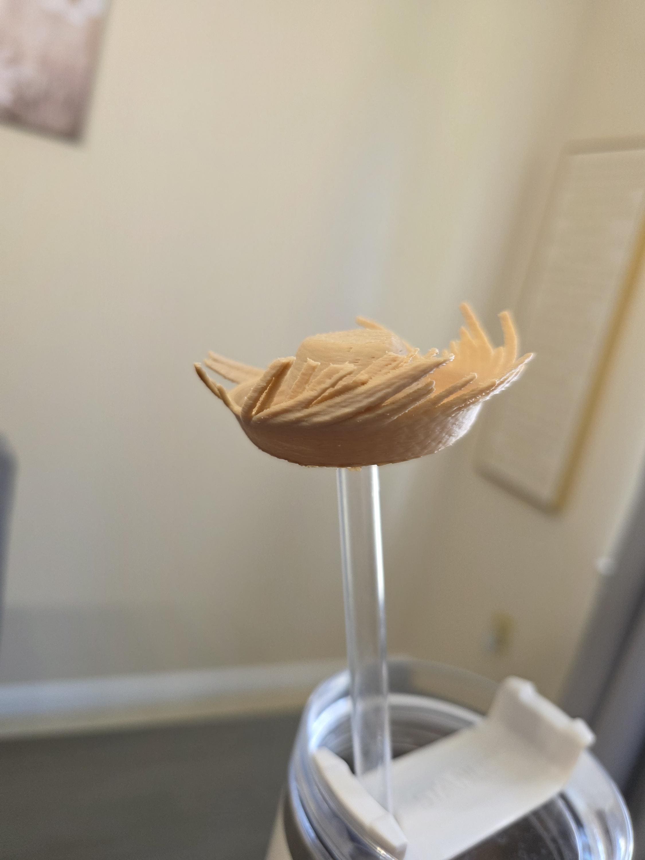 Puerto Rico Pava 3D Straw Topper