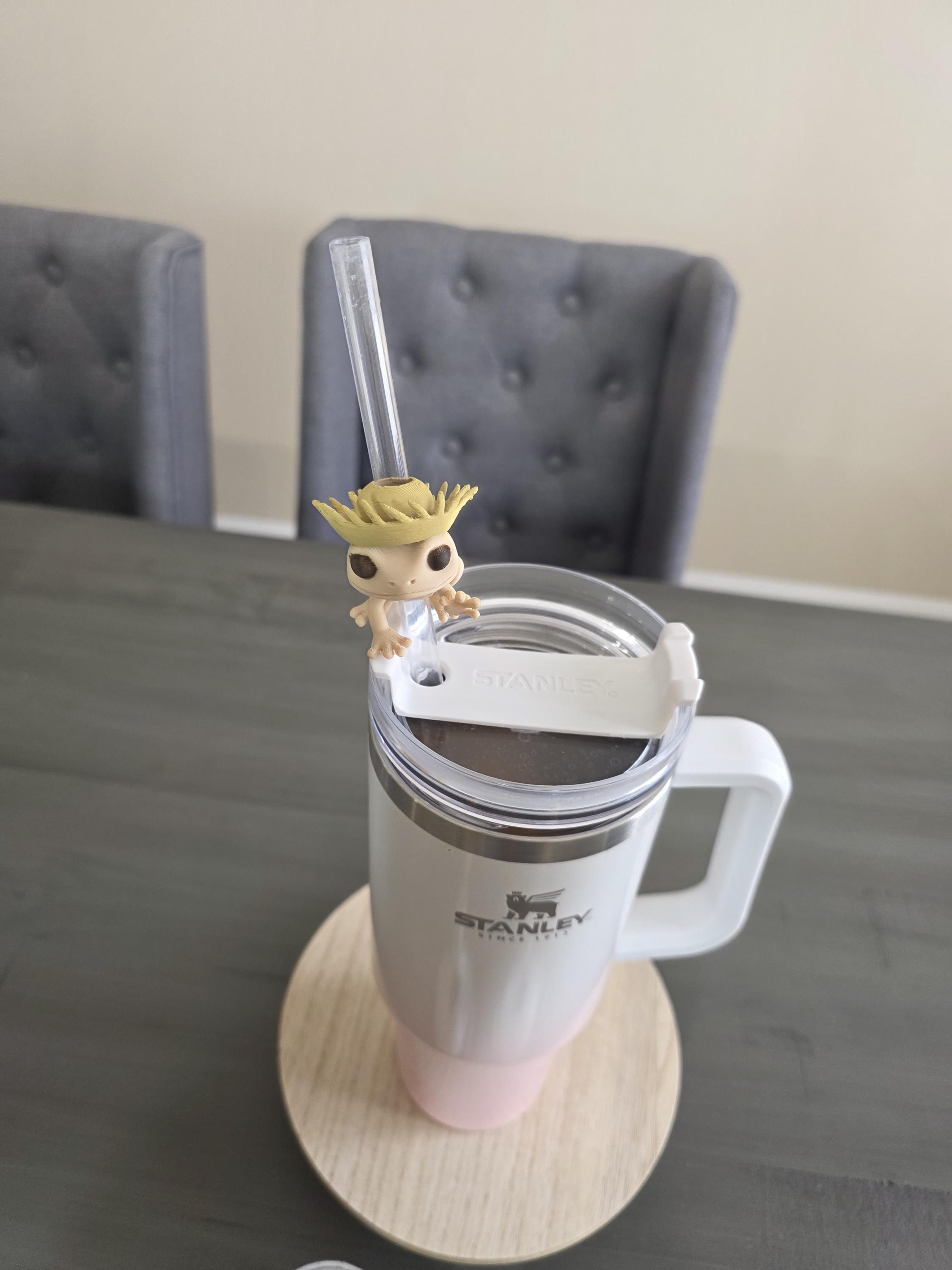 Puerto Rico Coquí with Pava 3D Straw Topper